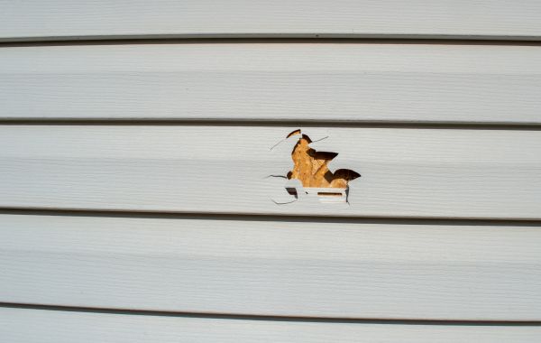 Cost of Siding Hole Patching in Puyallup