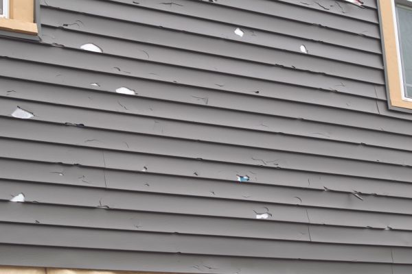 Cost of Damaged Siding Replacement in Puyallup