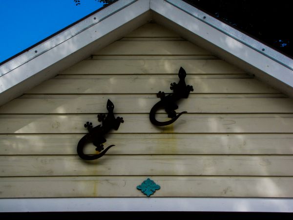Cost of Shiplap Siding Installation in Puyallup